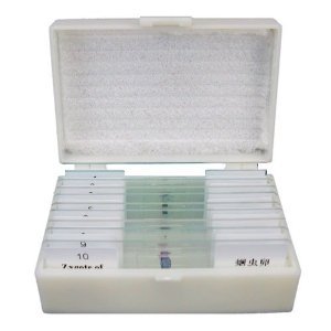 Portaobjetos de Vidrio de Alta Calidad para Enseñanza de Ciencias Médicas, Preparados con Hierbas Medicinales Chinas Lilium, a Bajo <span class=keywords><strong>Precio</strong></span> - Product Image 5