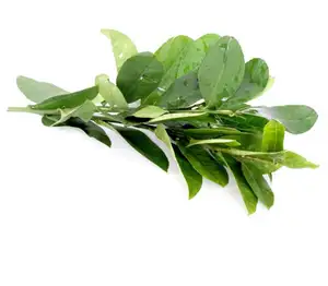 100% Pure Health Food Makrut Hoja de Lima Hoja de limón cruda seca para especias - Product Image 2