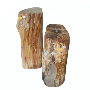 Giá Trị Cao Cho Bộ Sưu Tập Sang Trọng Tự Nhiên Đá Trang Trí Petrified Hóa Thạch Gỗ