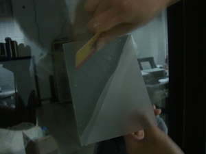 Chiếu Phim Phía Sau Cửa Hàng Cửa Sổ Kính Lá 3D Imgae Trong Suốt Xám Đậm Trắng Đen - Product Image 6