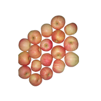Nouvelle récolte délicieuse pomme gala rouge fraîche pomme fraîche