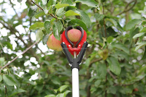 Telescopic Dễ Dàng Tiếp Cận Cây Quả Lớn Apple/Pear Picker - Product Image 5
