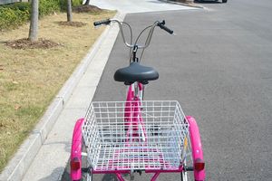 <span class=keywords><strong>Triciclo</strong></span> de tres ruedas para adulto, <span class=keywords><strong>triciclo</strong></span> plegable de seis velocidades, <span class=keywords><strong>bicicleta</strong></span> de carga/<span class=keywords><strong>bicicleta</strong></span> GW 7001, llanta de aleación de aluminio de acero para pedir 20" - Product Image 4