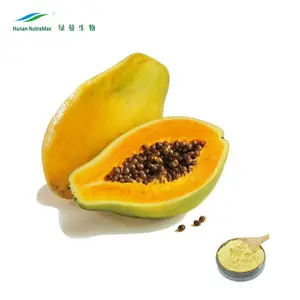 Papaya yaprağı ekstresi/Carica papaya esansı/Papaya yaprağı ekstresi tozu