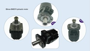 Blince ブルドーザー ホワイト ローライダー 油圧駆動モーター BM6 BMER 375 540 750 ホイールモーター Parker TG/TF 高トルク 油圧モーター - Product Image 6