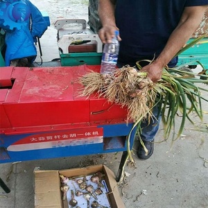 Loại Mới tỏi gốc máy cắt với động cơ hiệu quả tỏi đuôi cắt - Product Image 5