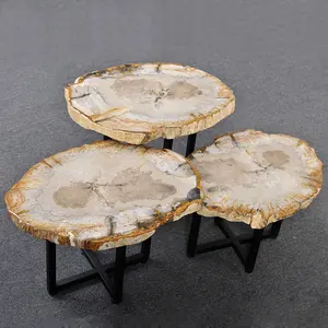 petrified wood stone table tops lobby coffee table sofa side table fossil wood stone top