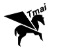 Yueqing Tianmai Electric Co., Ltd. logo