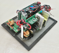 Module d'amplificateur de puissance miniature professionnel de classe D, 250 à 500 W, fabrication OEM