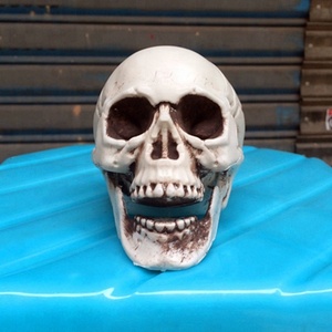 Cabeza de esqueleto humano para Halloween, esqueleto aterrador, cabeza de plástico, esqueleto de Halloween - Product Image 3