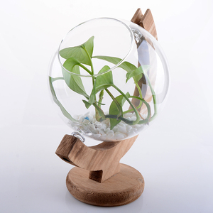 <span class=keywords><strong>Vase</strong></span> Globe en verre transparent moderne <span class=keywords><strong>avec</strong></span> support en <span class=keywords><strong>bois</strong></span> rustique Terrarium pour la décoration de la maison et de la salle à manger pour les hôtels - Product Image 2