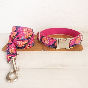 Kerah Anjing Mewah Kualitas Terbaik Kustom, Kerah Anjing Mewah Kualitas Tinggi, Kerah Anjing dengan Label Nama, Label Pribadi - Product Image 3