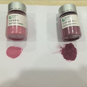 100% <span class=keywords><strong>Acai</strong></span> <span class=keywords><strong>Berry</strong></span> polvo concentrado Extracto de saúco suplemento de grado alimenticio a granel Mason Jar Halal certificado <span class=keywords><strong>HPLC</strong></span> - Product Image 5