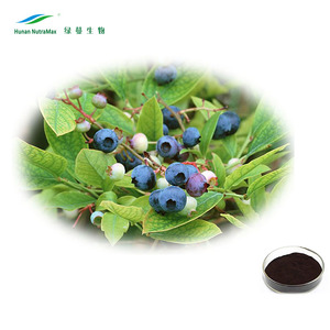 1 kg Heidelbeerblattextrakt, lateinischer Name: Vaccinium Myrtillus - Product Image 3