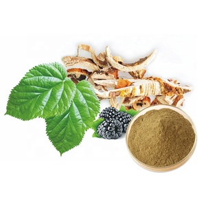 Заводская поставка, порошок экстракта коры клюквы mulberroside White Mulberry Cortex Mori - Product Image 2