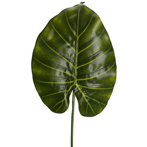 ออกแบบใหม่ Real Touch ดอกไม้ประดิษฐ์ใบ57ซม.ประดิษฐ์ <span class=keywords><strong>Alocasia</strong></span> <span class=keywords><strong>Macrorrhizos</strong></span> ใบสำหรับ Indoor Garden ตกแต่ง - Product Image 4