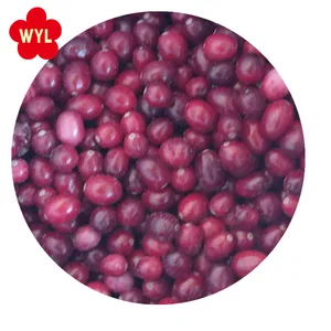 नई फसल गर्म बेचने जमे हुए फल में IQF जमे हुए थोक लाल Lingonberry थोक पैकिंग