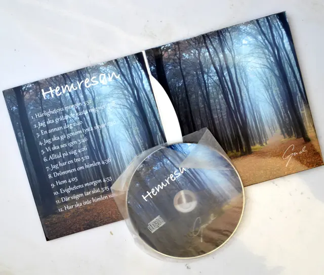 Custom Design Platte Of Gate Fold Papier Karton Mouwen Cd Dvd Vinyl Record Verpakking