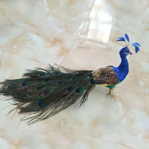 Piume <span class=keywords><strong>di</strong></span> Pavone Colorate Personalizzate, Vere Piume Bianche <span class=keywords><strong>per</strong></span> Matrimoni e Decorazioni Natalizie - Product Image 3
