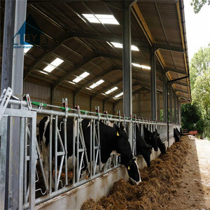 Đúc Sẵn Kết Cấu Thép Horse Barn Thiết Kế Từ Trung Quốc - Product Image 3