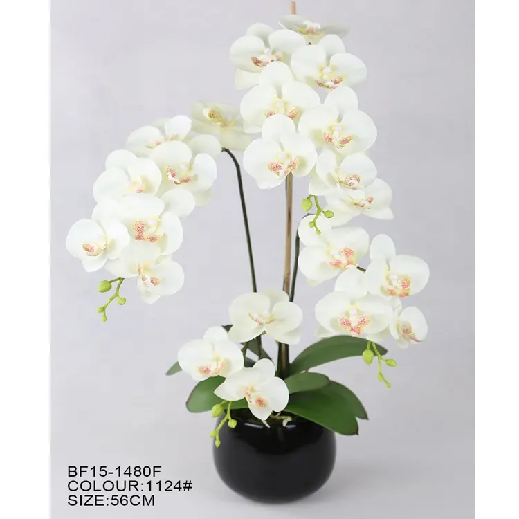 인공 꽃 벽 화이트 난초 화분 Phalaenopsis 포함 블랙 세라믹 꽃병 난초