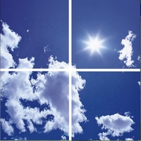 Prix usine bleu ciel nuages encastré led panneau lumineux 600x600mm décoratif led lumière de plafond de 40w