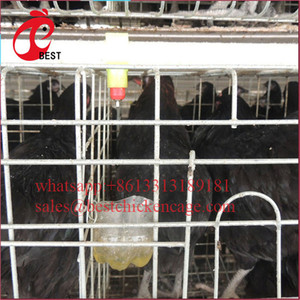 Nouvelle conception de cage d'élevage de volailles de type H, poulailler à 3 niveaux, cages à batterie pour <span class=keywords><strong>poules</strong></span> <span class=keywords><strong>pondeuses</strong></span>, vente en Algérie à bas prix - Product Image 2