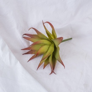 Plantas Artificiales <span class=keywords><strong>Suculentas</strong></span> Miniatura sin Maceta para Decoración <span class=keywords><strong>de</strong></span> Interiores, Surtido DIY <span class=keywords><strong>al</strong></span> <span class=keywords><strong>por</strong></span> <span class=keywords><strong>Mayor</strong></span>, Económicas, en <span class=keywords><strong>Venta</strong></span> - Product Image 5