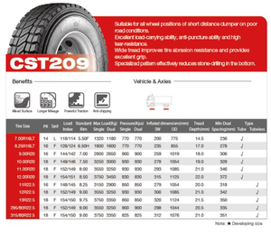 Шина Fortune FT209 13R22.5 CHENGSHAN шина CST209 13R22.5 AUSTONE - Product Image 2