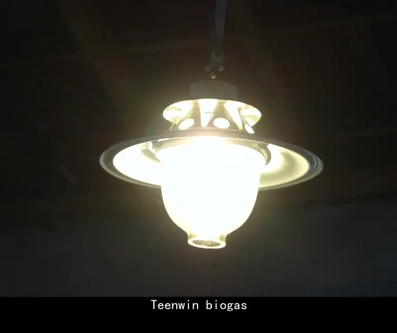 Teenwin удобная и маленькая внутренняя лампа для биогаза