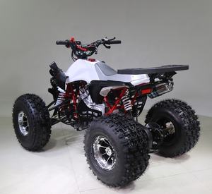 Tao Motor Eagle 125 entraînement par chaîne automatique quatre roues moto pour enfants de 11 ans 125cc 36V démarrage électrique Atv 125cc 110cc - Product Image 6