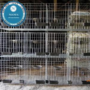 Cages à pigeons Nianfa <span class=keywords><strong>pas</strong></span> chères avec boîte à nourriture et boîte à eau (usine de Guangzhou) - Product Image 3