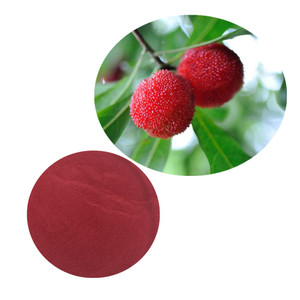<span class=keywords><strong>Myrica</strong></span> <span class=keywords><strong>Rubra</strong></span>/Waxberry/polvo de Bayberry rojo, 100%, suministro de fábrica - Product Image 4