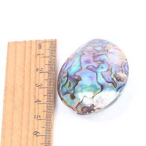 الطبيعية نيوزيلندا Paua شل قلادة أذن البحر شل الخرز ل مجوهرات الأزياء صنع - Product Image 5