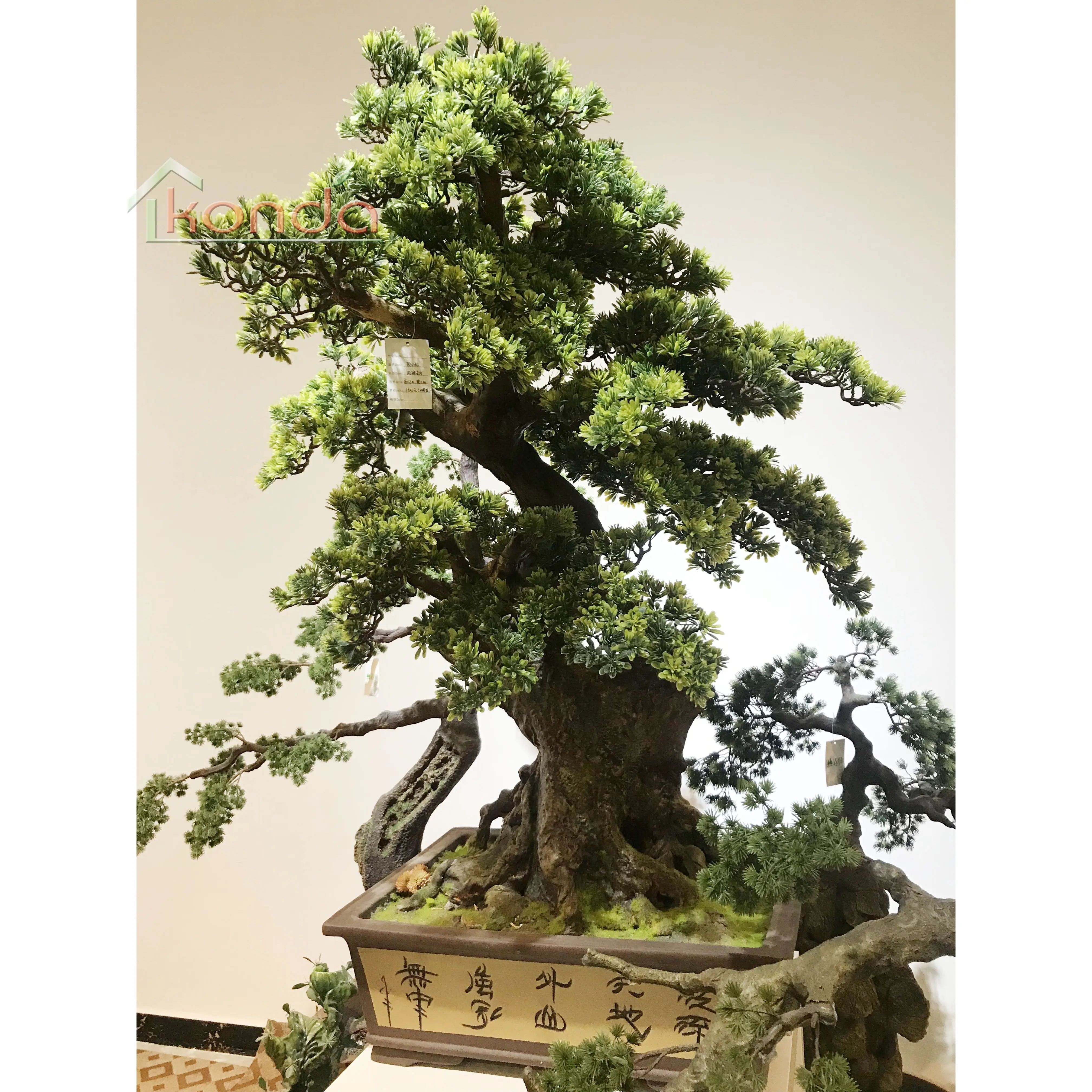 Hafif bükülmüş şekli banyan ağacı Yapay ficus microcarpa bonsai bitki ağacı