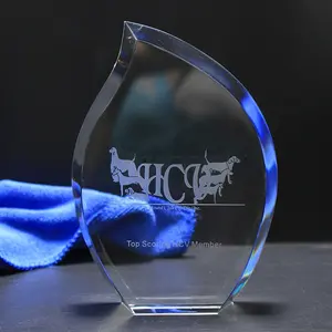 Best Verkopende Glas Shield Grappige Custom Crystal Award En Trofee Souvenirs