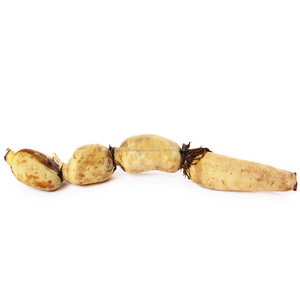 Alta Benefici Verdure Fresche Cibo Radice di Loto - Product Image 6