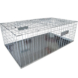 Pièges à cages pour animaux vivants Liebang pour capturer les oiseaux nuisibles, les pigeons, les pieuvres, les corbeaux, pièges à cages, fabricant chinois - Product Image 1