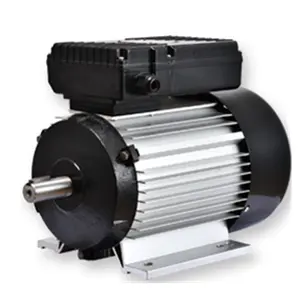 YL90S-2 single-phase asynchronous motor light weight ac induction motor