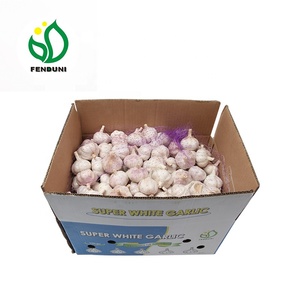 आकार 5-6cm ताजा शुद्ध सफेद लहसुन लहसुन बॉक्स के साथ पैक 10kg - Product Image 3
