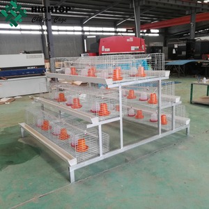 Produttore di Un tipo 216 capacità pulcini <span class=keywords><strong>cage</strong></span>, rendere la vostra gestione più facile - Product Image 4