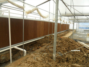 Grünes Sicherheits-Nassvorhang-Verdunstung skühl kissen für Geflügels tall - Product Image 5