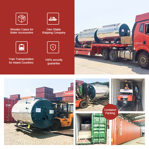 comercio aseguramiento 10Ton <span class=keywords><strong>caldaia</strong></span> a gas metano - Product Image 6