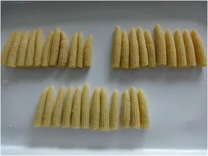 Canned Corn Fresh Pack Canned Food Canned Young Baby Corn Spears In Brine In Water