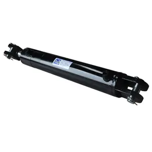 Cylindre de levage hydraulique, pour niveleur de dock, vieux barell - Product Image 1