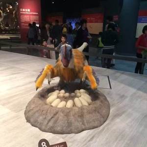 Dinosaurio de Zoológico, Huevos de Robot, <span class=keywords><strong>Oviraptor</strong></span> Animatrónico de Tamaño Real - Product Image 4