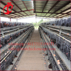 Cages de batterie de petites taille pour batterie de volaille,, prix le plus bas, convient aux animaux marins de poulet, de haute qualité - Product Image 4