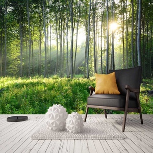 Papel Tapiz 3D ป่าฝนกรุตกแต่งผนังที่มีลักษณะเหมือนวอลล์เปเปอร์ - Product Image 6