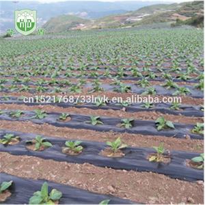 Película <span class=keywords><strong>de</strong></span> Cobertura para Mulching Huadun Negra y Plateada, Anti-Planta, <span class=keywords><strong>de</strong></span> Alta Resistencia, con Material <span class=keywords><strong>de</strong></span> PE, Precio <span class=keywords><strong>de</strong></span> Fábrica - Product Image 4