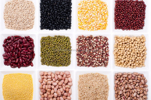 De <span class=keywords><strong>soja</strong></span>/riz/Haricots verts Machine À Laver/Acier Inoxydable Grain Machine À Laver - Product Image 5